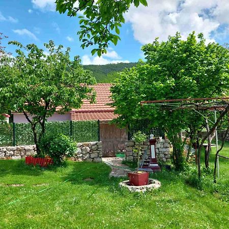 Village Flower Ivy Montenegro Niksic Exterior photo