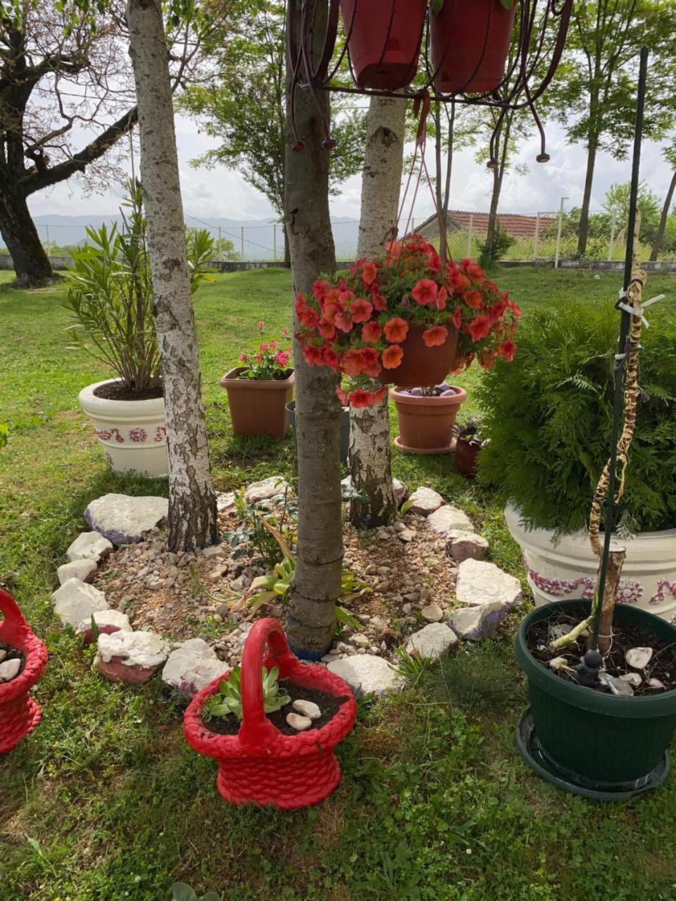 Village Flower Ivy Montenegro Niksic Exterior photo